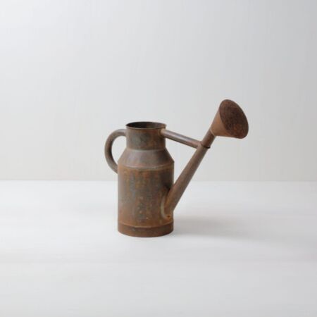 Rent vases, watering cans, buckets, event