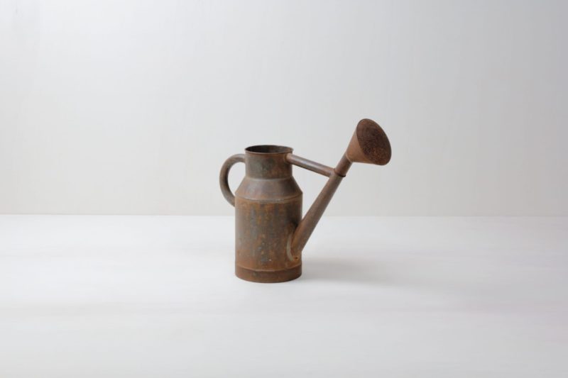 Watering Can Jacinto | |