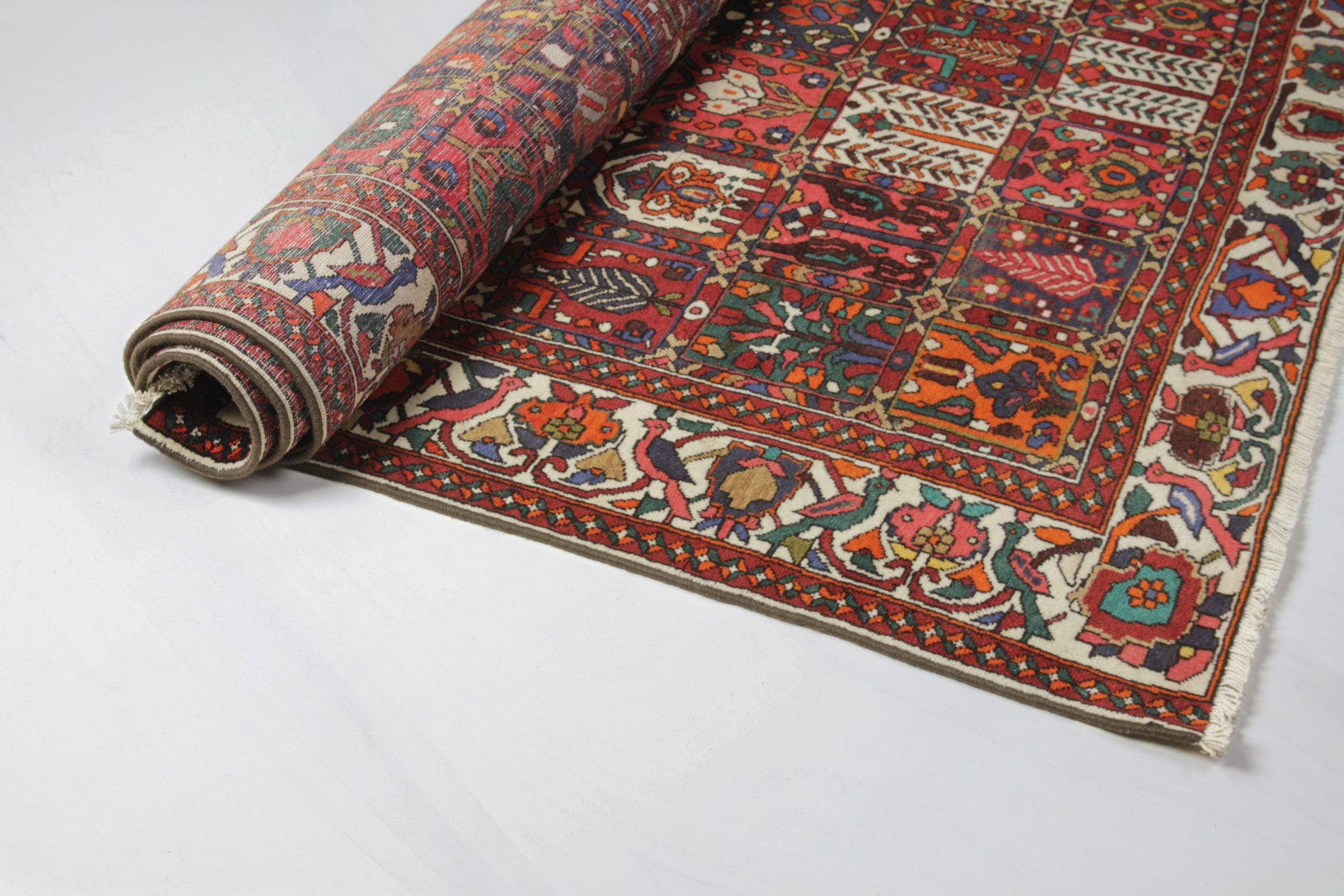 Carpet Lora | |