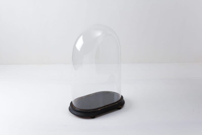 Glass Dome Juanita | |