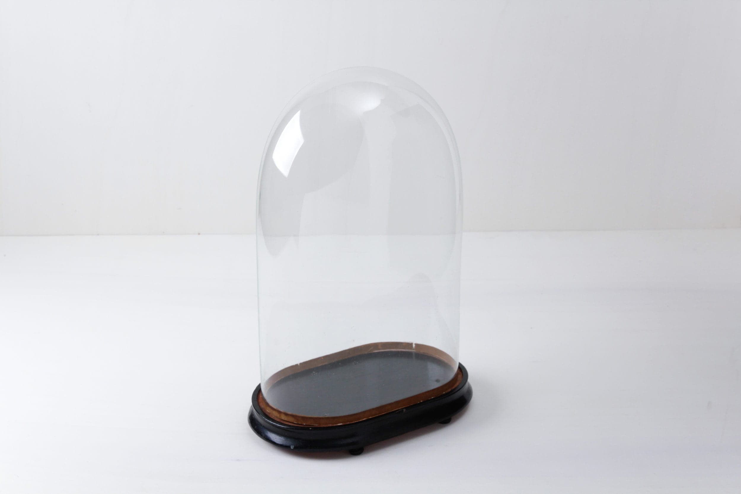 Glasglocke Penelope | |