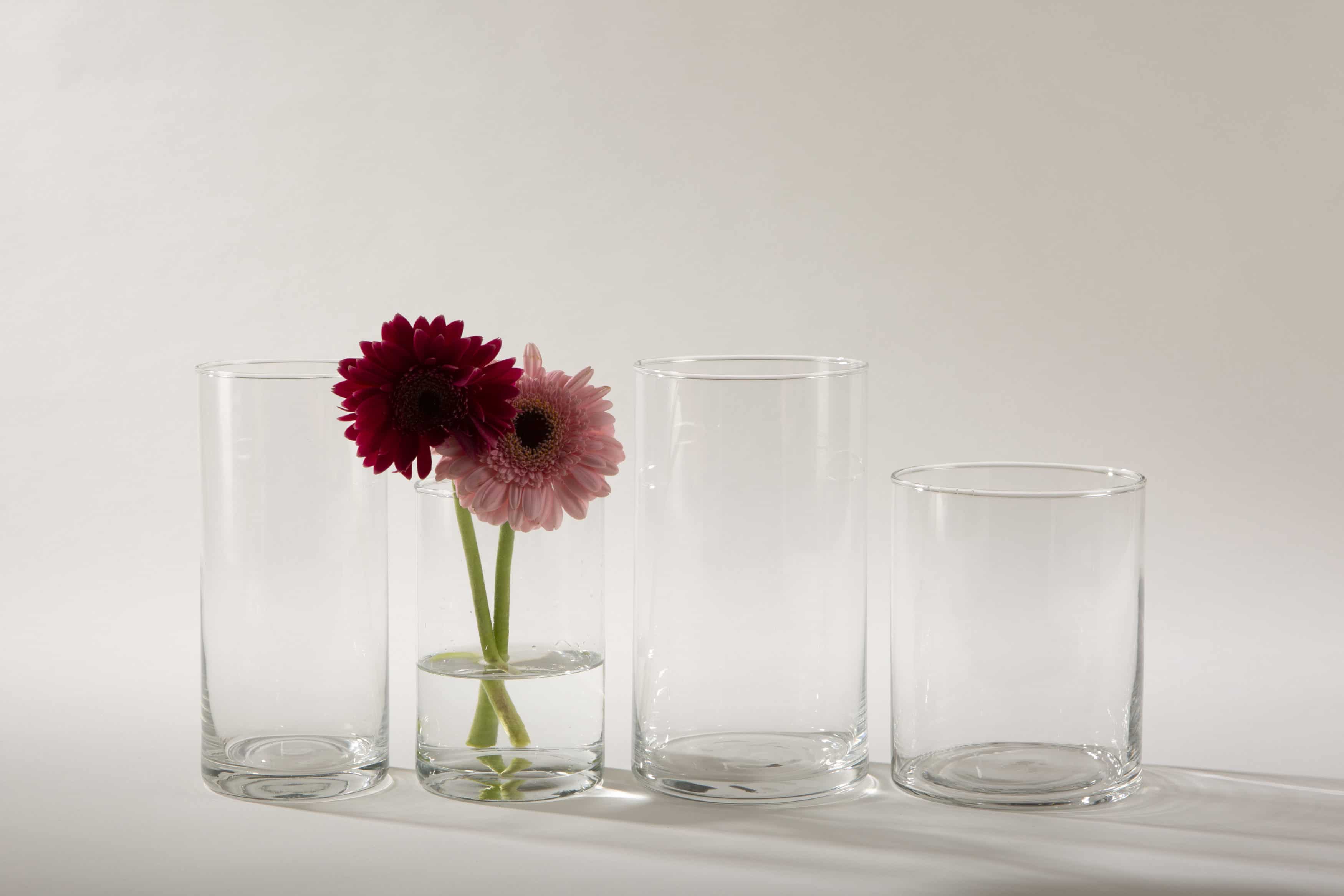 Ganz schlicht und elegant ist Glasvase Bacoya. Dieser unaufdringliche Glaszylinder setzt Blumensträuße innen wie außen gut in Szene und stielt den bunten Blumen dabei nicht die Show. Ob sommerliche Gartenparty oder elegante Winterhochzeit– Blumenvase Bacoya passt zu vielen Veranstaltungen und Farben. Den Glaszylinder, mit dem Durchmesser 12 cm und einer Höhe von 20 cm, kannst Du mit einer Kerze auch als Windlicht mieten. Kombiniert mit den verschiedenen zylindrischen Größen der Bacoya Serie, ergibt sich bei Deinem Event ein stimmige Bild.