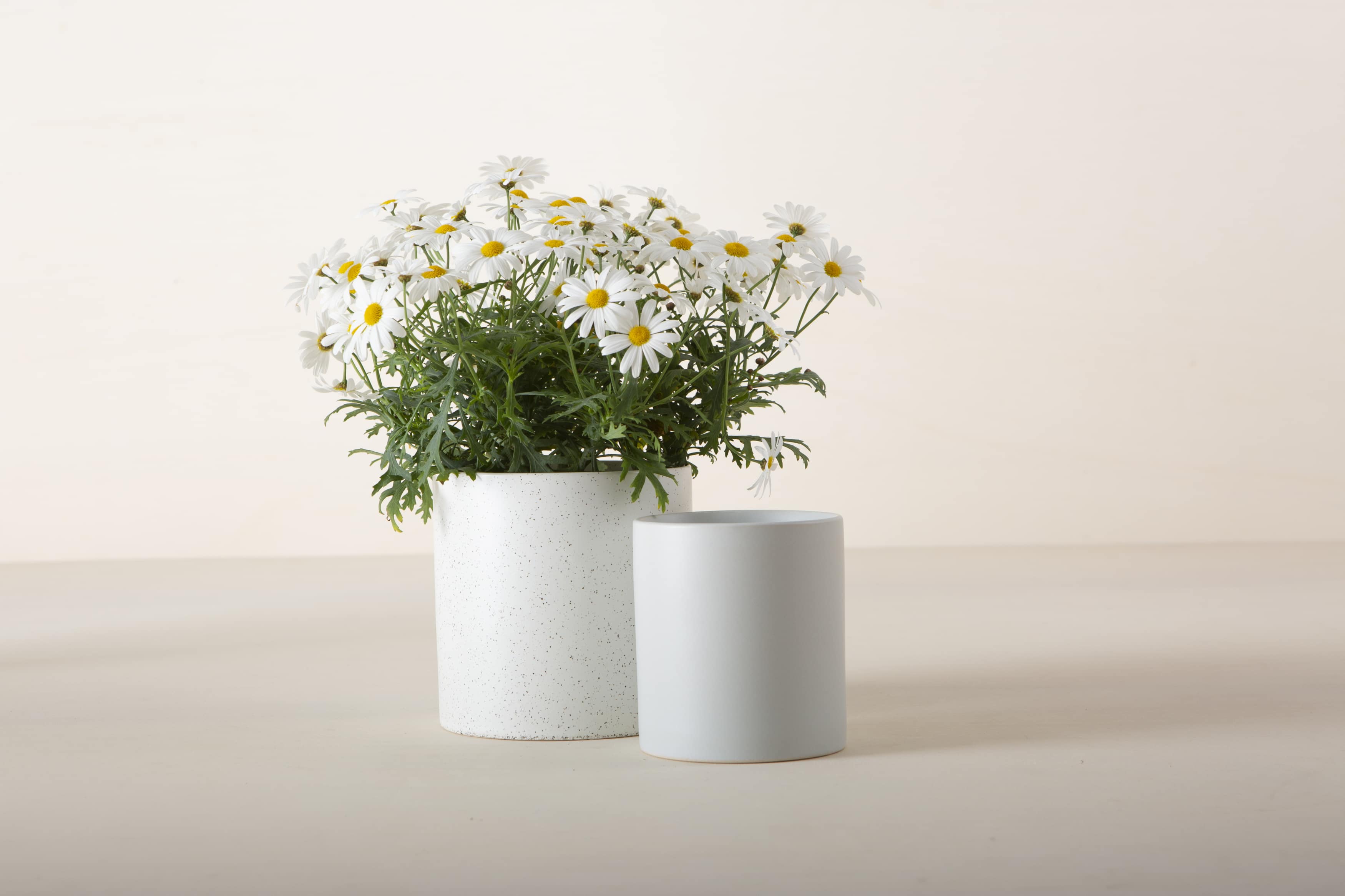 Blumentopf Aurora Grau | |